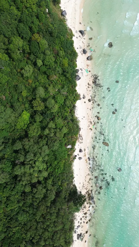 Панорама тропического побережья Фукуока с лазурной водой с высоты